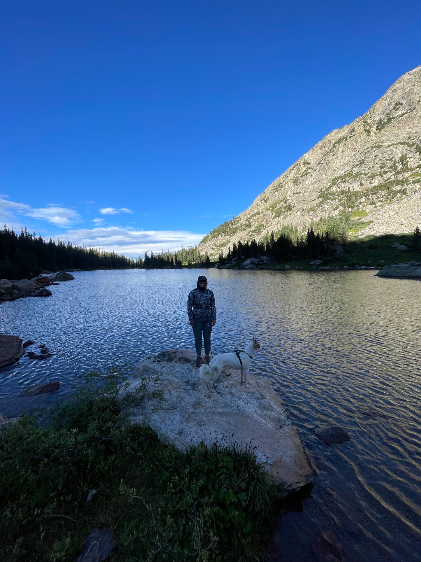 Rope Leashes ~ Handsfree options