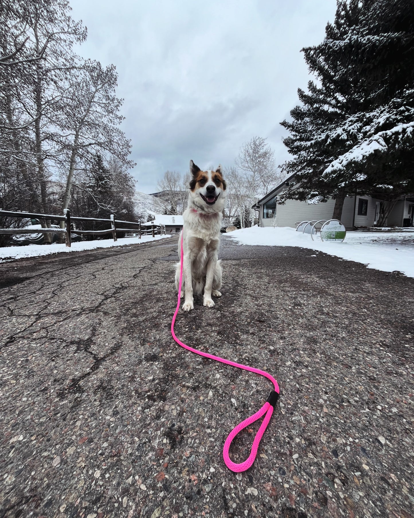 Slip lead with stopper