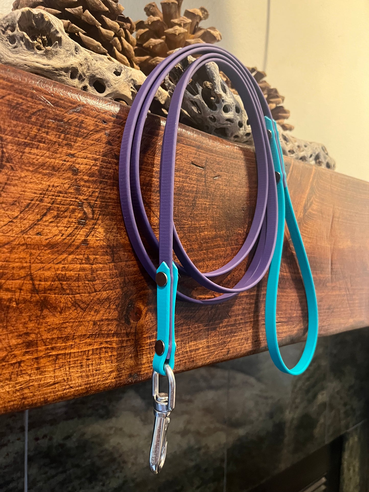 Biothane Thin Leashes