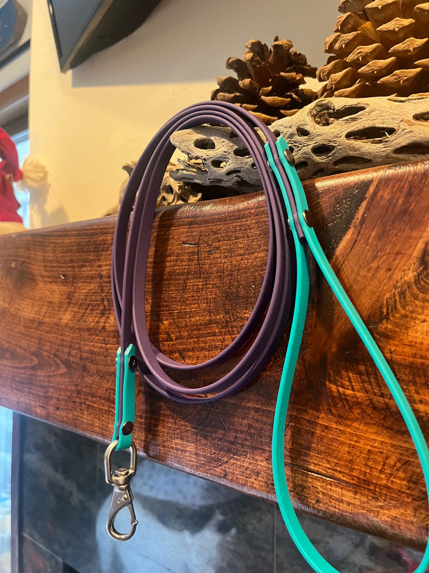 Biothane Thin Leashes