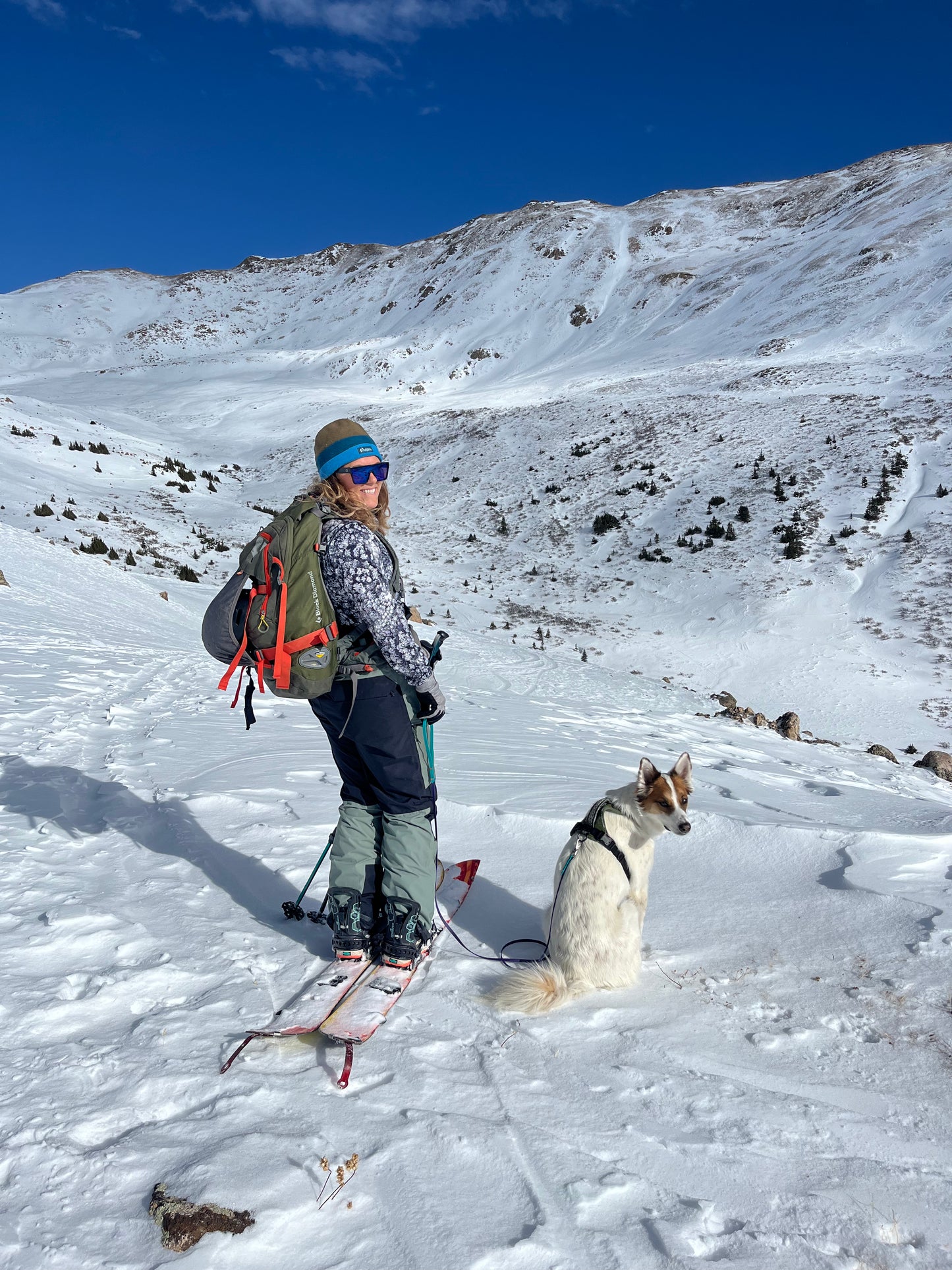 Biothane Thin Leashes